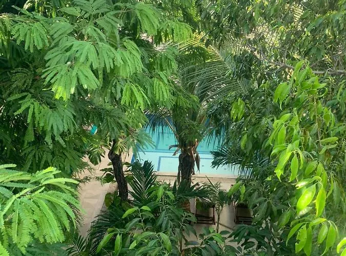 Arcos - Tulum